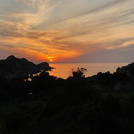 Gli Oleandri Di Calarossa - 5M Walk To The Beach 罗萨岛 外观 照片