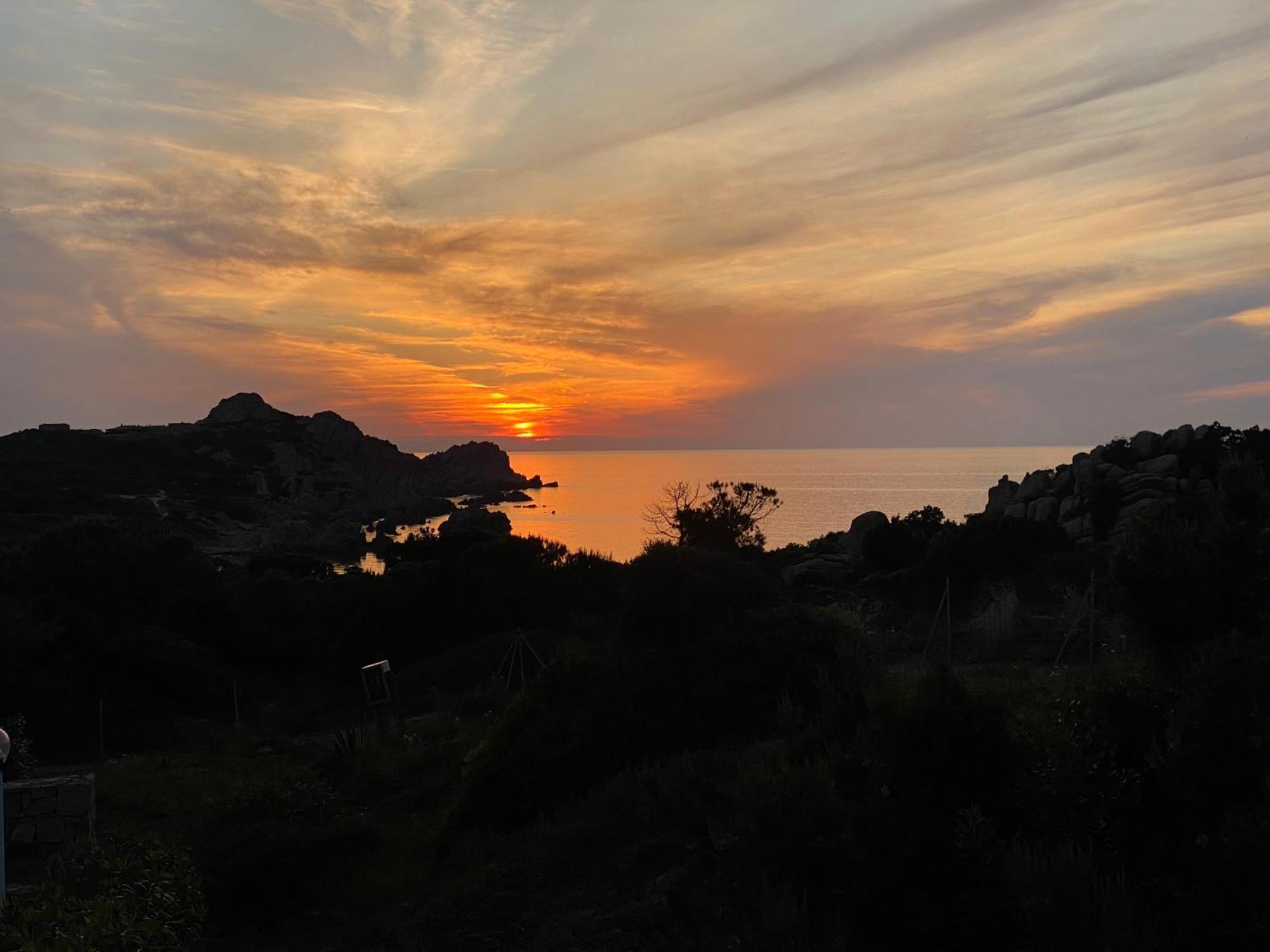 Gli Oleandri Di Calarossa - 5M Walk To The Beach 罗萨岛 外观 照片