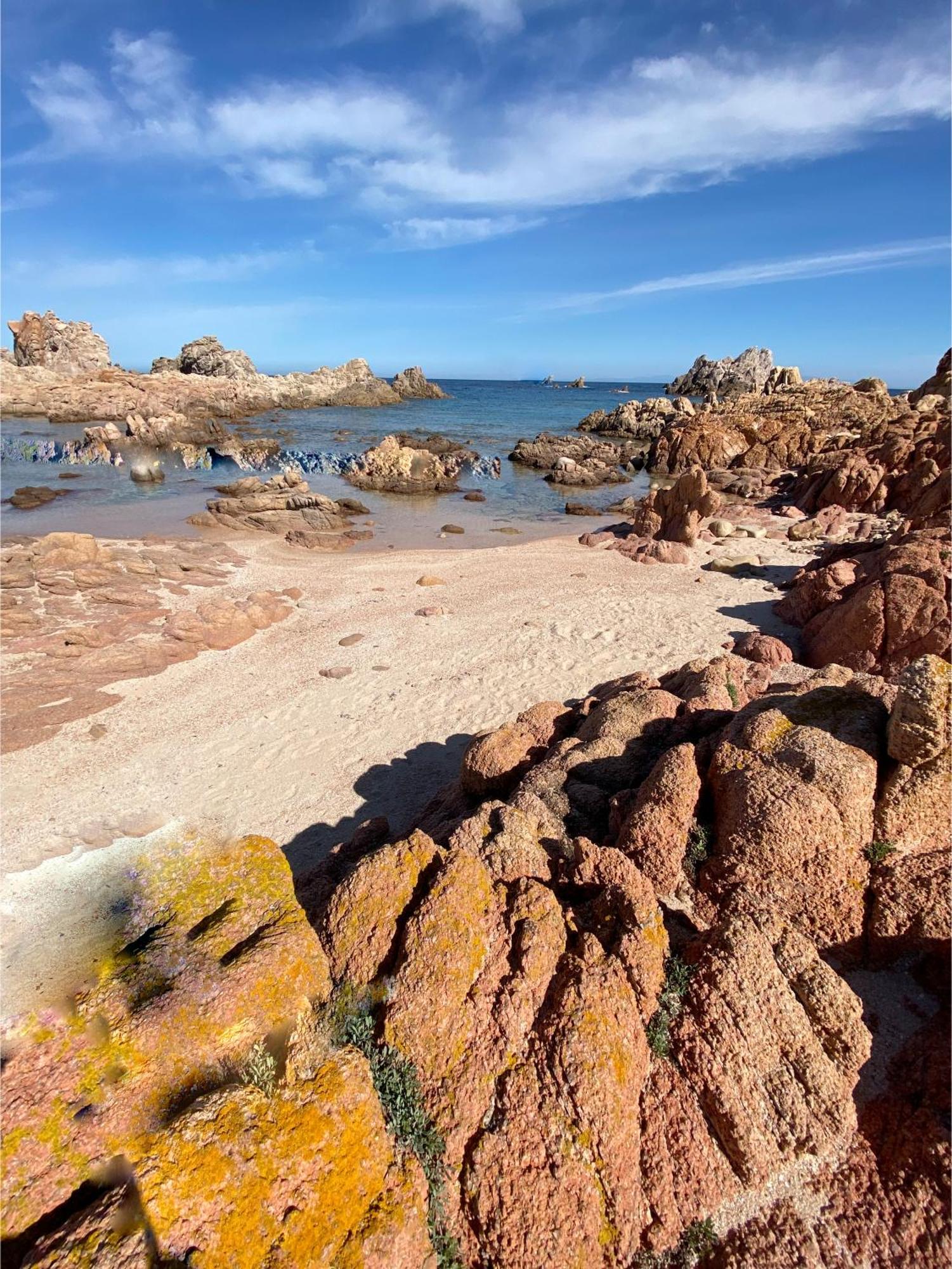Gli Oleandri Di Calarossa - 5M Walk To The Beach 罗萨岛 外观 照片