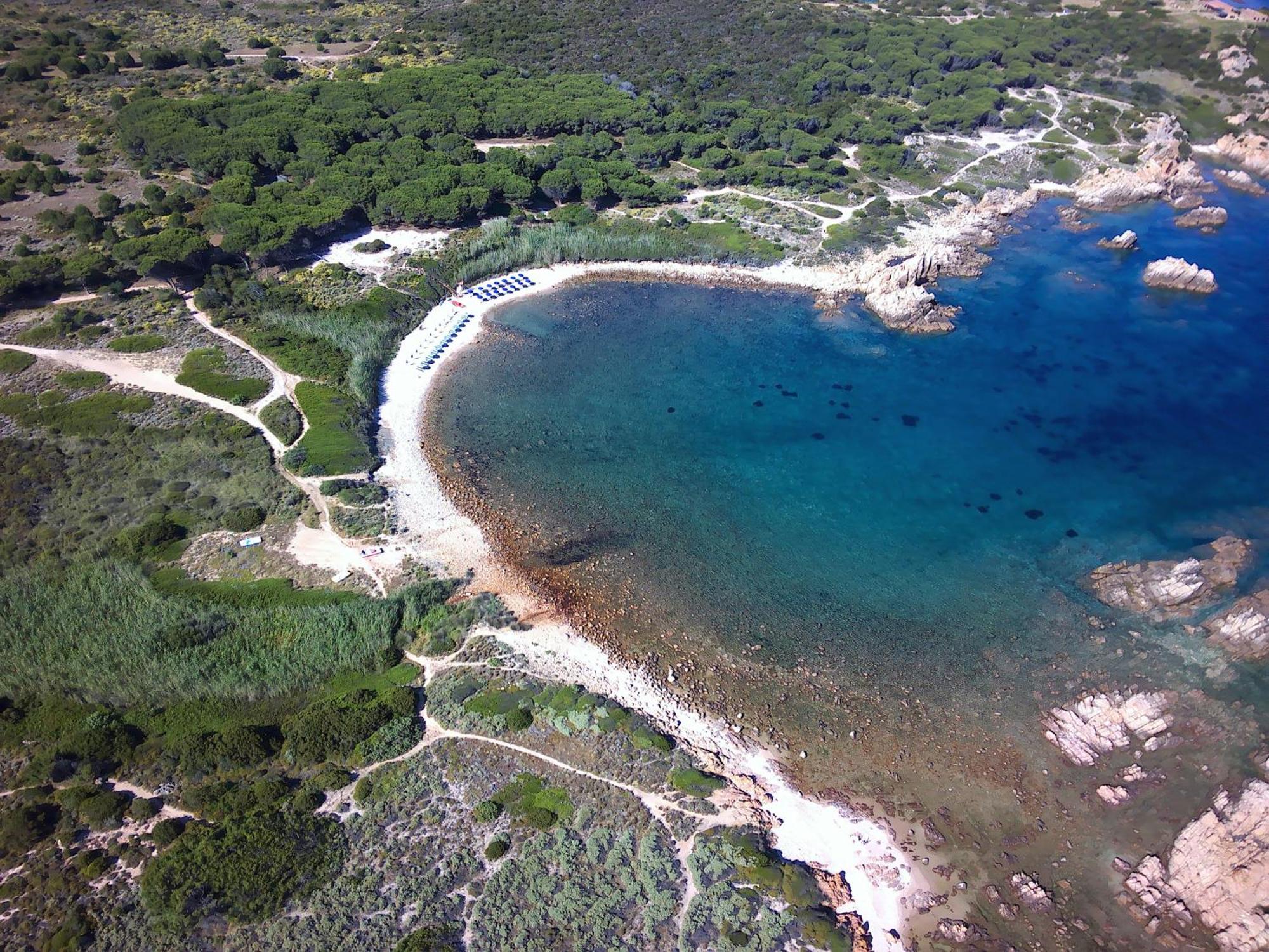 Gli Oleandri Di Calarossa - 5M Walk To The Beach 罗萨岛 外观 照片