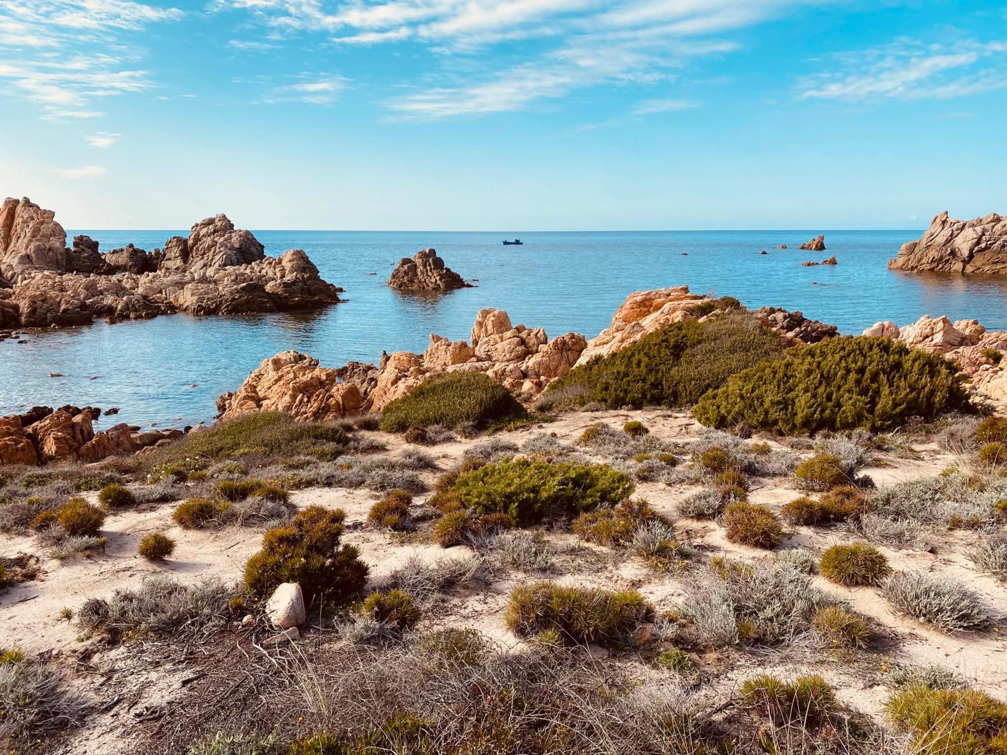 Gli Oleandri Di Calarossa - 5M Walk To The Beach 罗萨岛 外观 照片